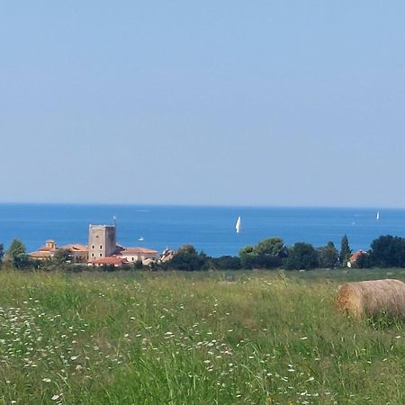 Apartments Henc Novigrad  Екстер'єр фото