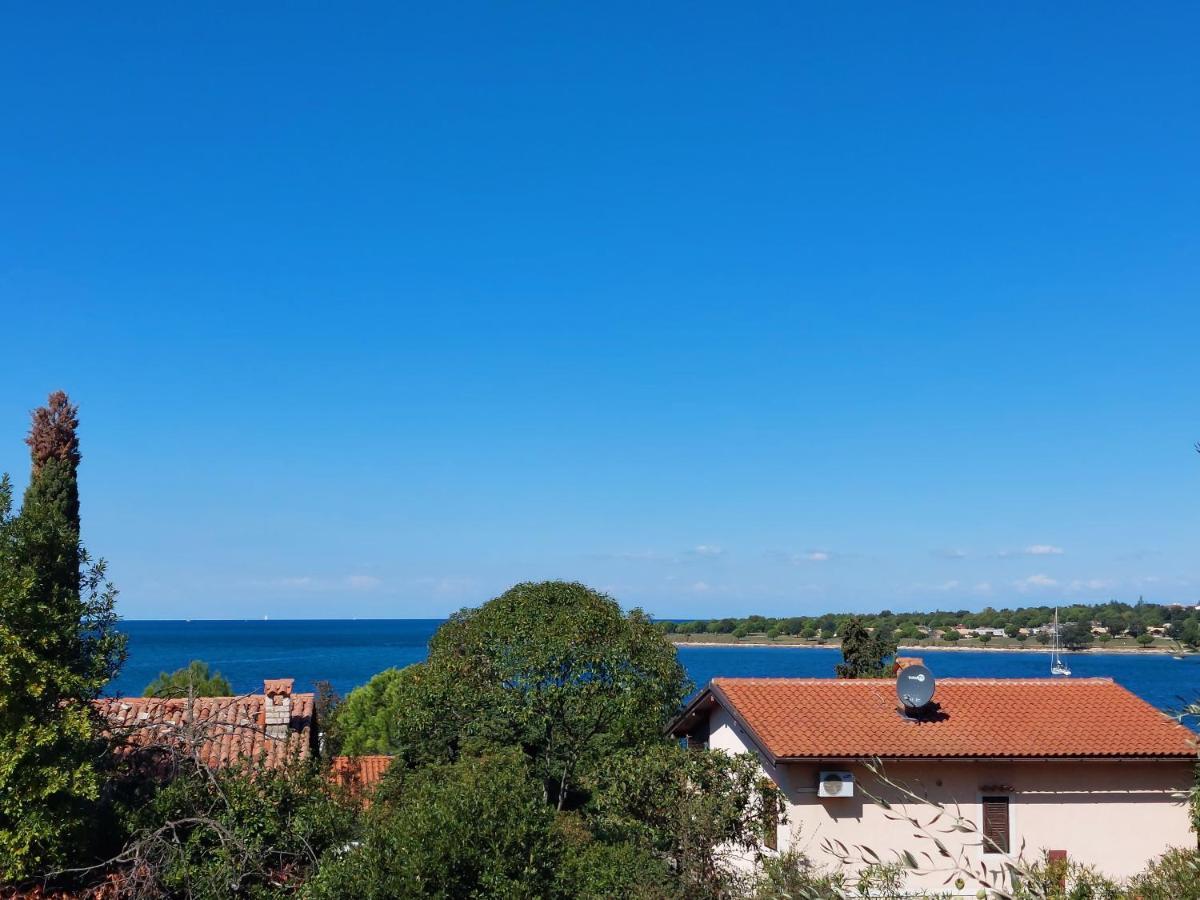 Apartments Henc Novigrad  Екстер'єр фото