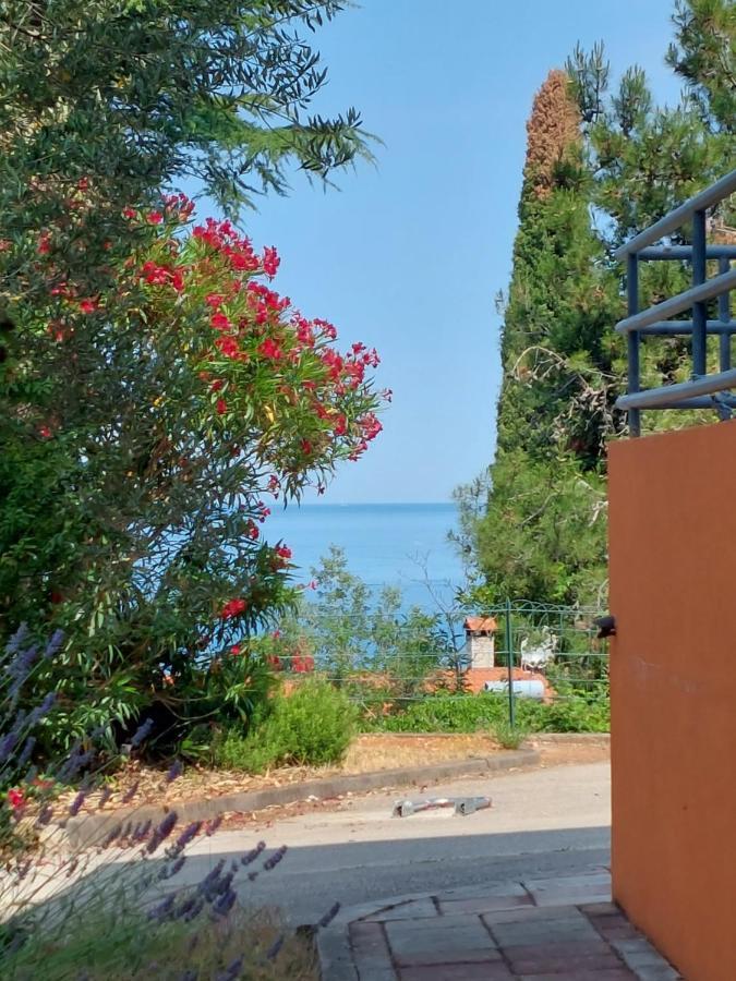 Apartments Henc Novigrad  Екстер'єр фото