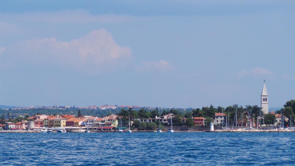 Apartments Henc Novigrad  Екстер'єр фото