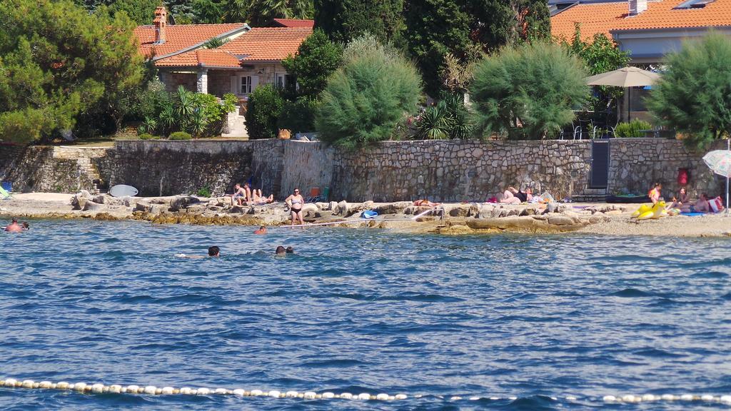 Apartments Henc Novigrad  Номер фото