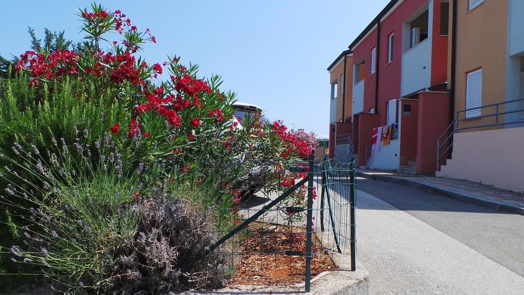 Apartments Henc Novigrad  Екстер'єр фото