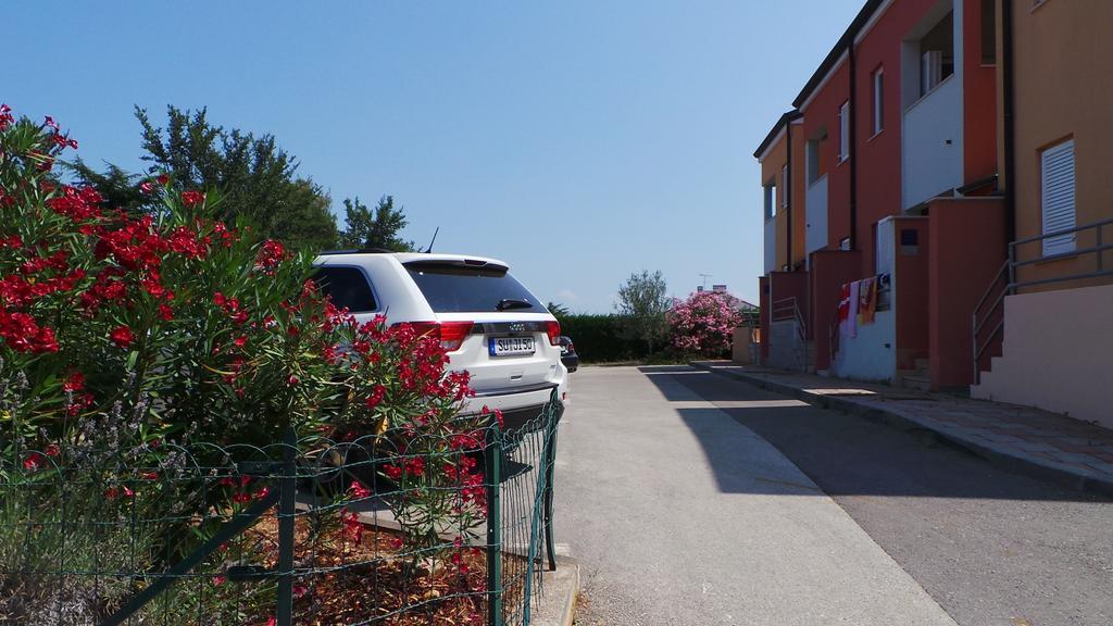 Apartments Henc Novigrad  Екстер'єр фото