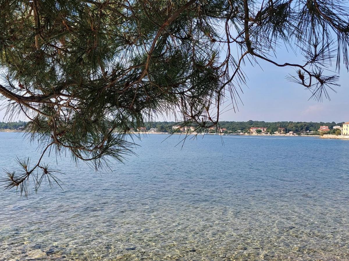 Apartments Henc Novigrad  Екстер'єр фото