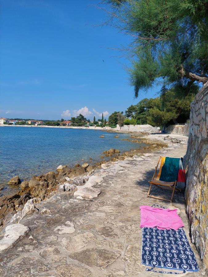 Apartments Henc Novigrad  Екстер'єр фото