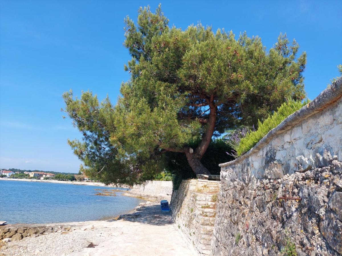 Apartments Henc Novigrad  Екстер'єр фото