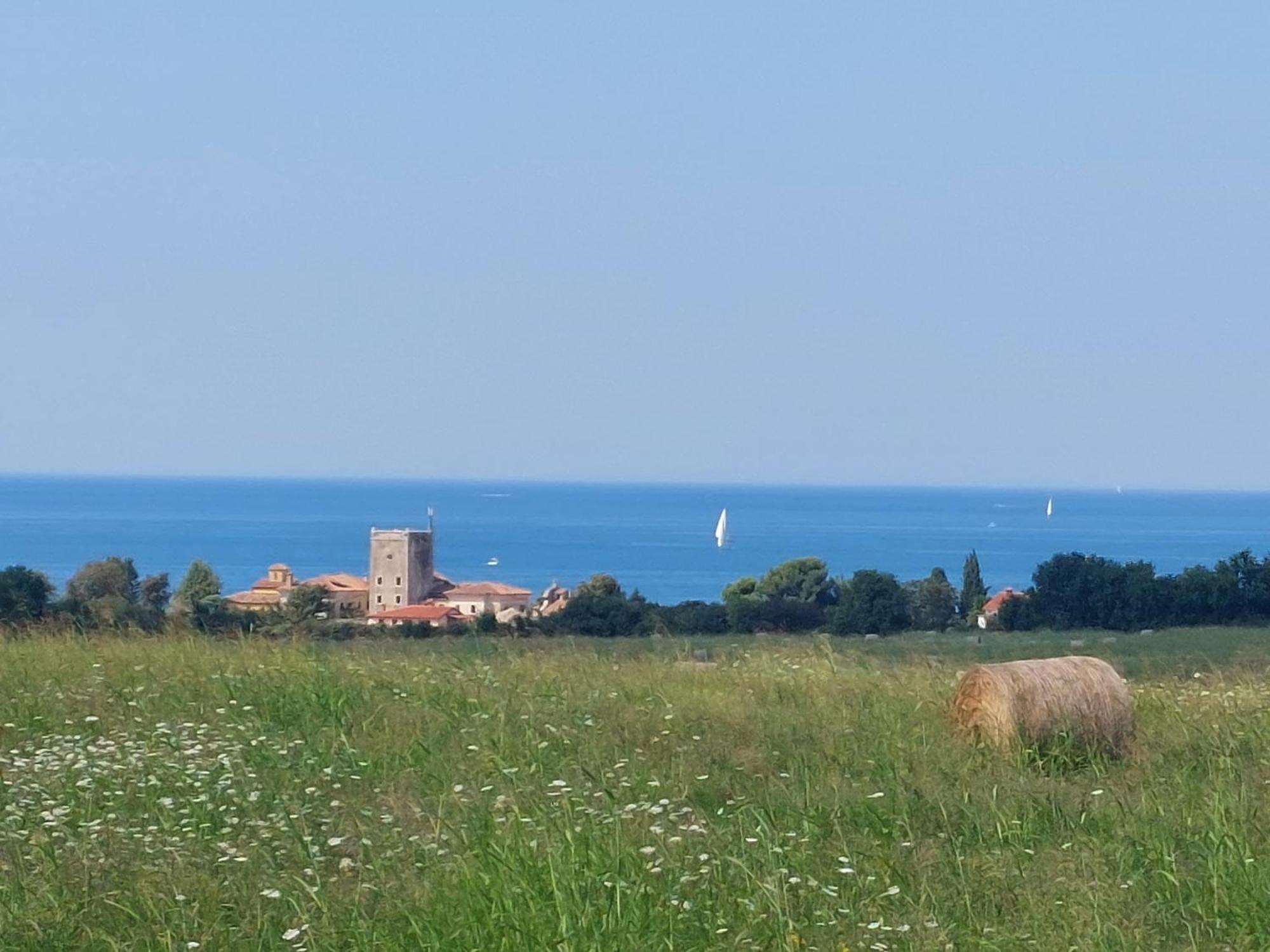 Apartments Henc Novigrad  Екстер'єр фото